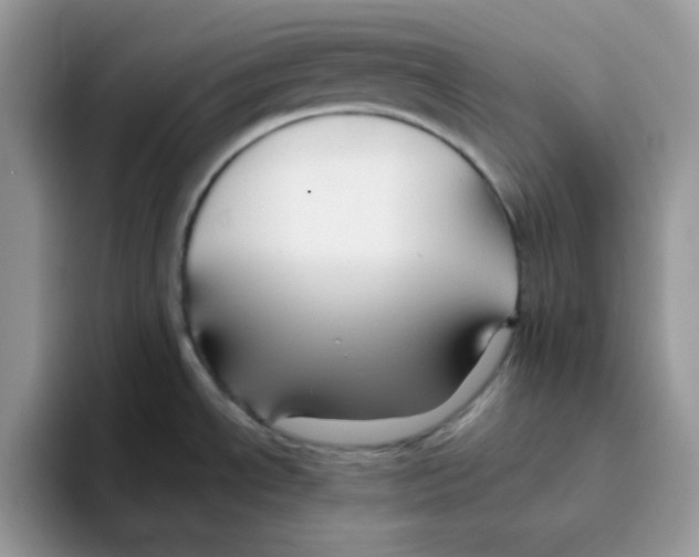 X0000093511534200711091712