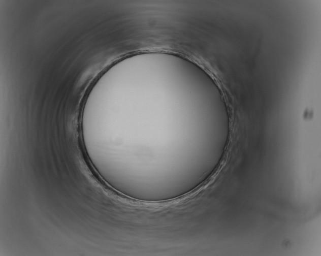 X0000093520002200710121138