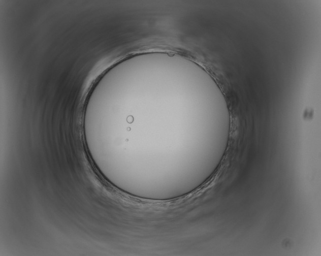 X0000093520004200710121138