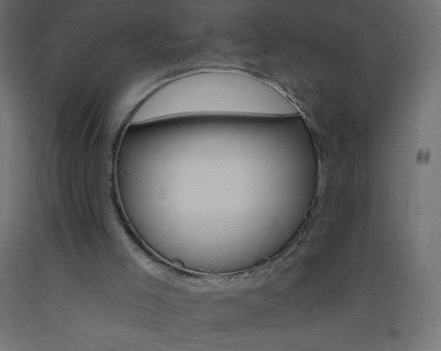 X0000093520005200710121138