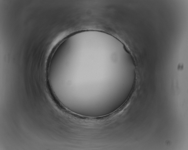 X0000093520008200710121138