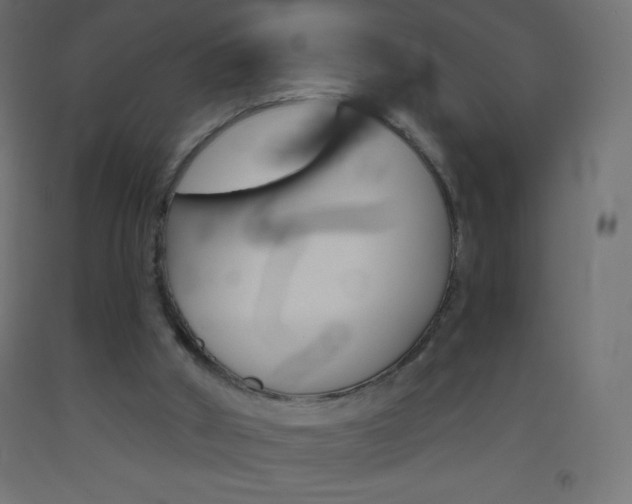 X0000093520010200710121138