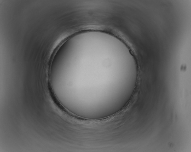 X0000093520011200710121138