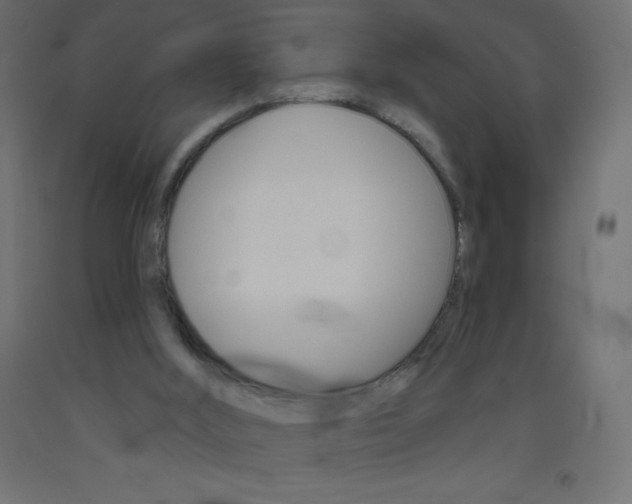 X0000093520012200710121137