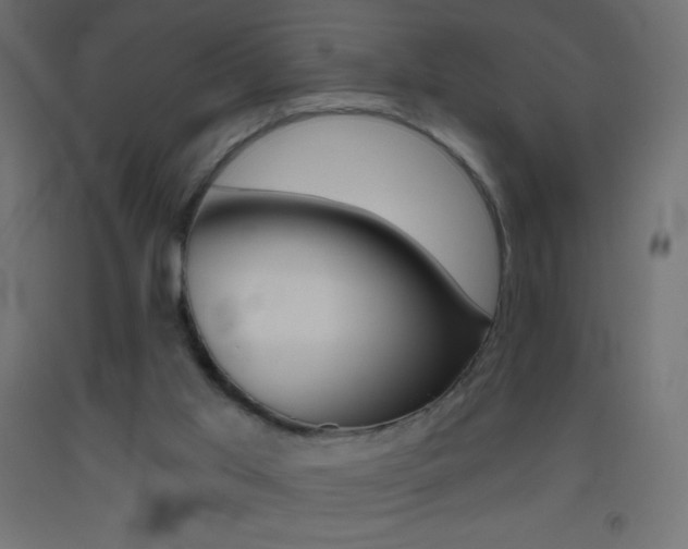 X0000093520013200710121137