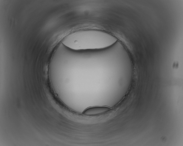X0000093520014200710121137