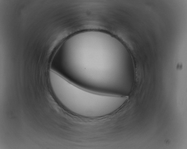 X0000093520015200710121137