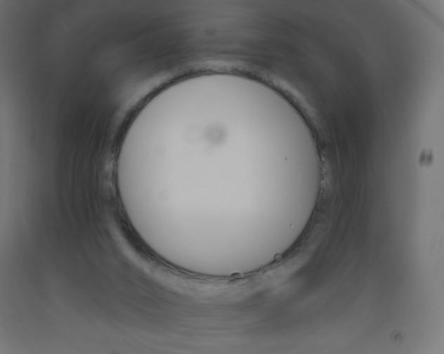 X0000093520016200710121137