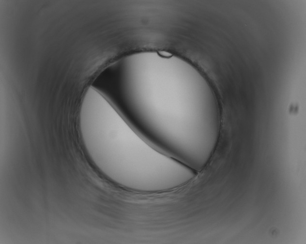 X0000093520017200710121137