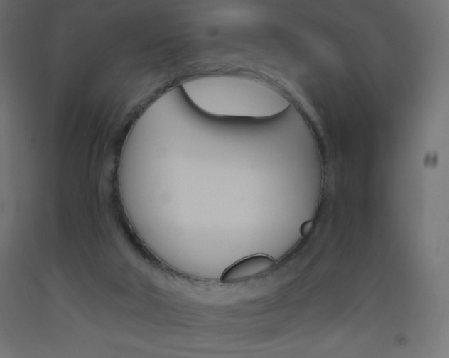 X0000093520018200710121137