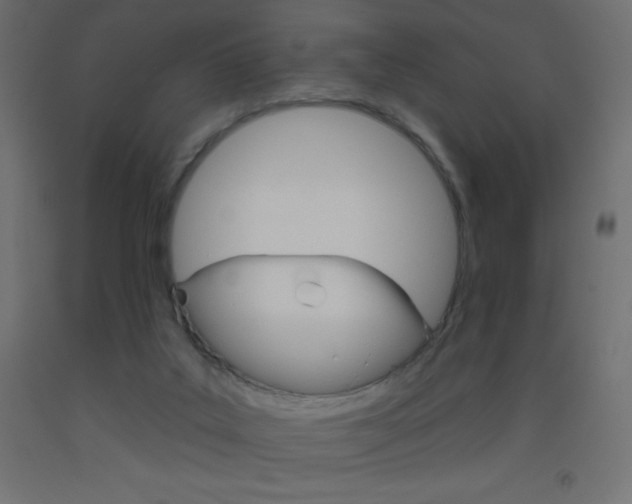 X0000093520019200710121137