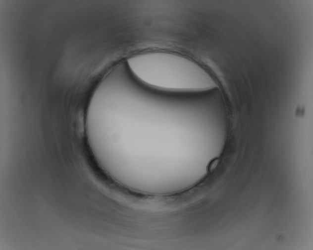 X0000093520020200710121137
