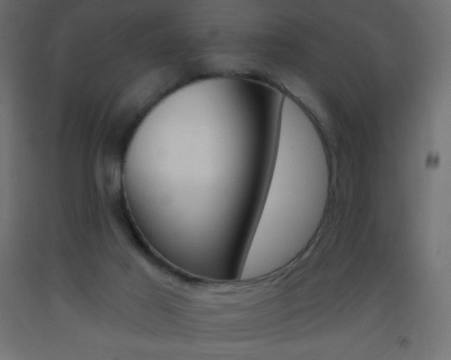 X0000093520021200710121137