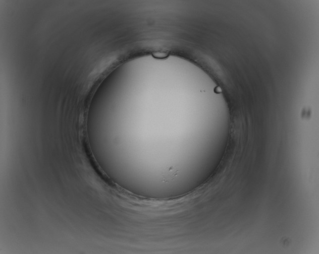 X0000093520023200710121137