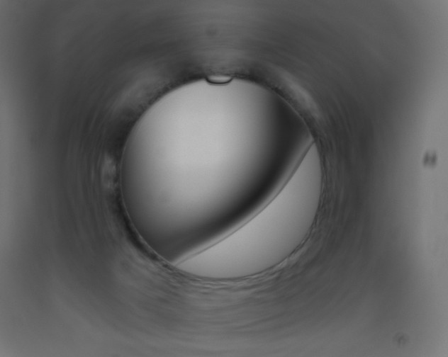 X0000093520025200710121137