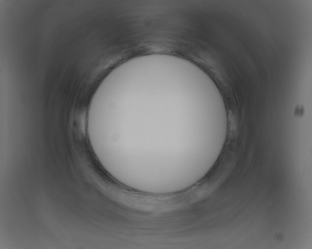 X0000093520028200710121137