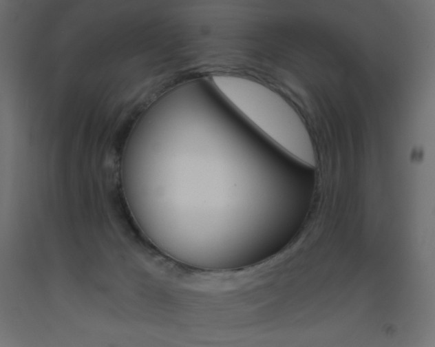 X0000093520029200710121137