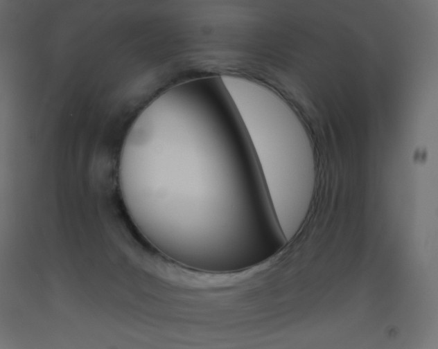 X0000093520031200710121137