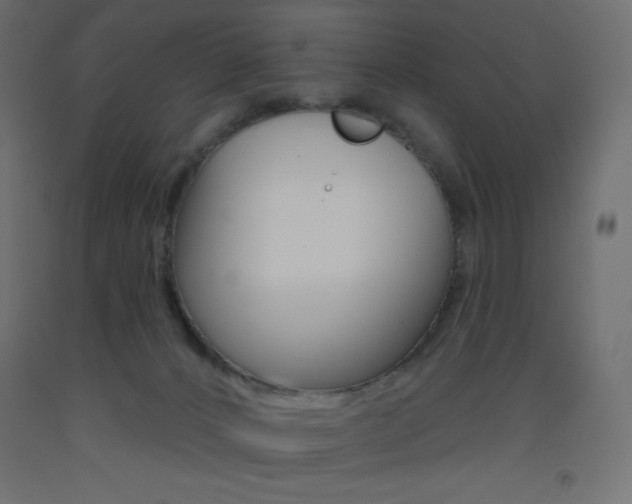 X0000093520032200710121137