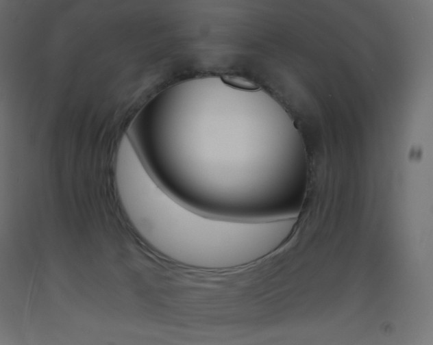 X0000093520033200710121137