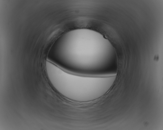 X0000093520035200710121137