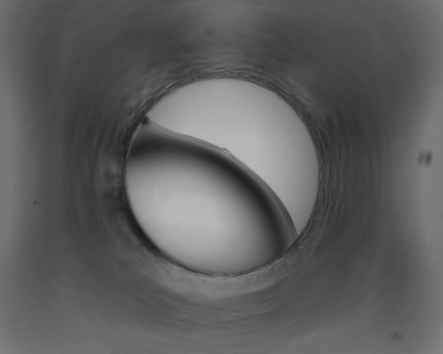 X0000093520039200710121137