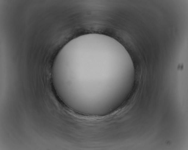 X0000093520040200710121137