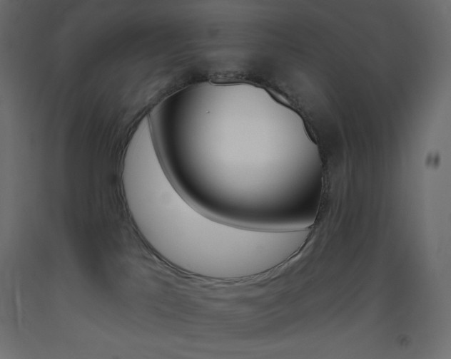 X0000093520041200710121137