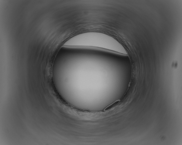 X0000093520044200710121137