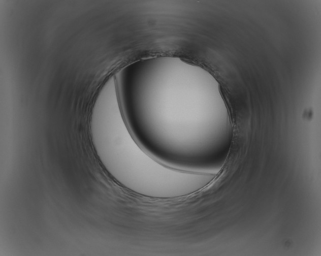 X0000093520045200710121137