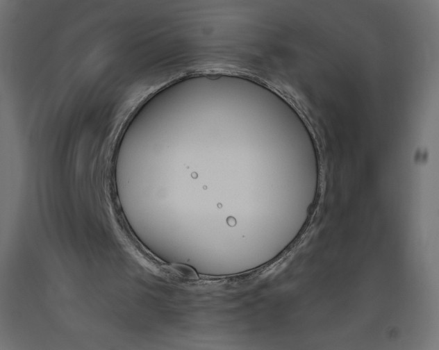 X0000093520049200710121136