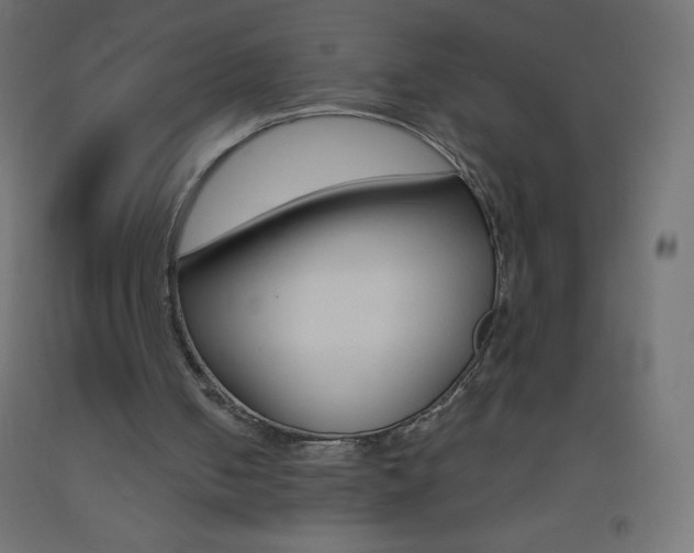 X0000093520050200710121136