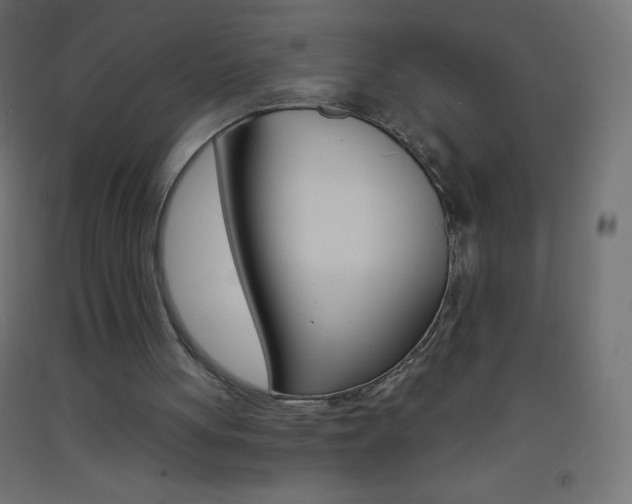 X0000093520051200710121136
