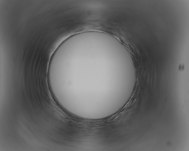 X0000093520052200710121136