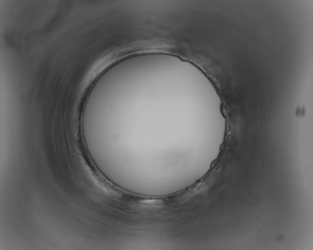 X0000093520053200710121136
