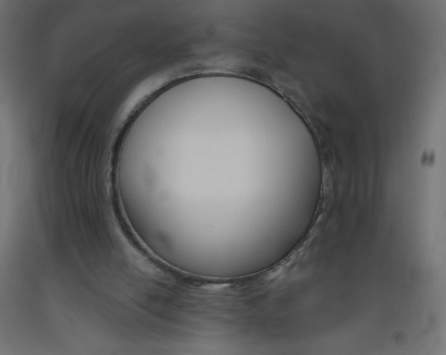 X0000093520054200710121136