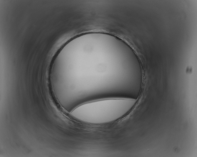 X0000093520055200710121136