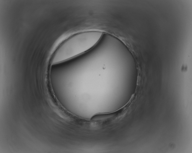 X0000093520056200710121136