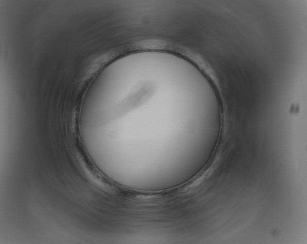 X0000093520057200710121136