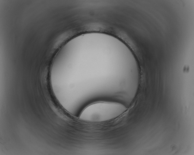 X0000093520058200710121136