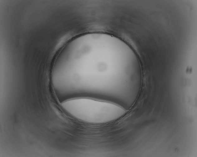 X0000093520059200710121136