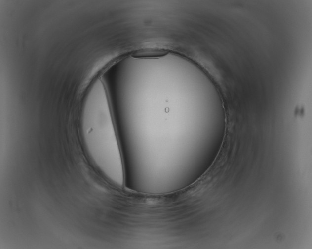 X0000093520060200710121136