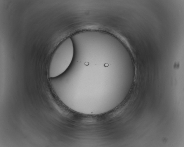 X0000093520061200710121136