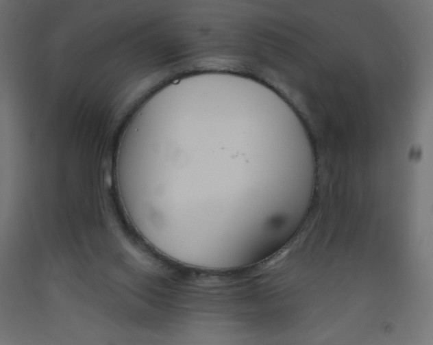 X0000093520062200710121136