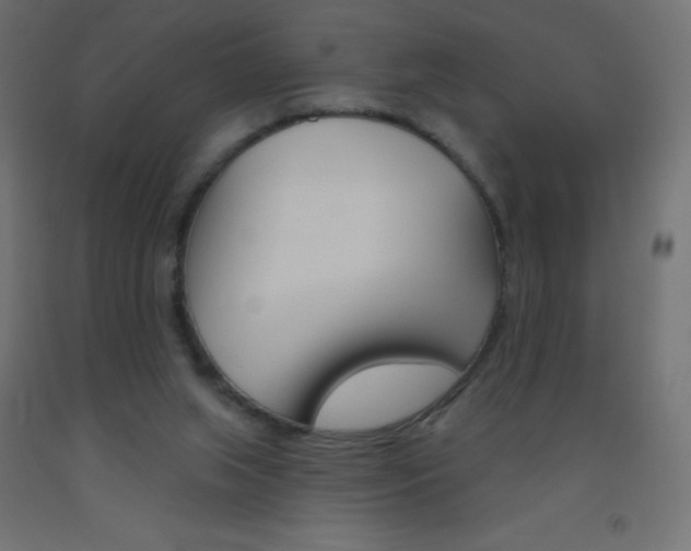 X0000093520063200710121136