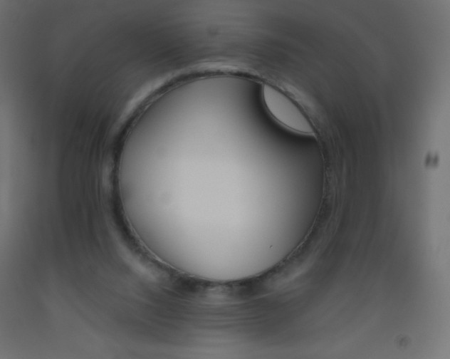 X0000093520064200710121136