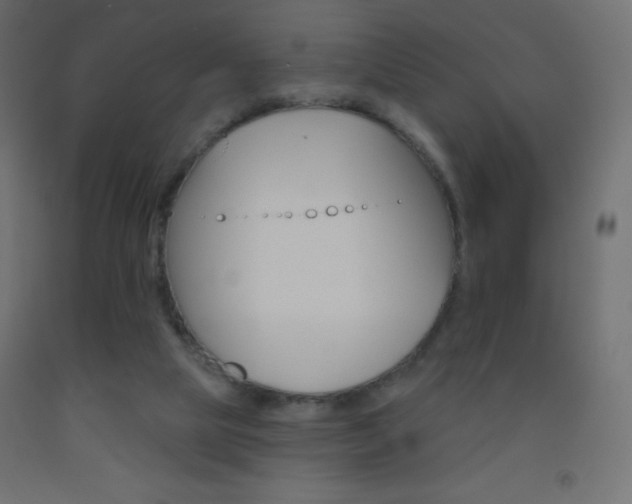 X0000093520065200710121136