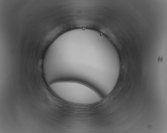 X0000093520066200710121136