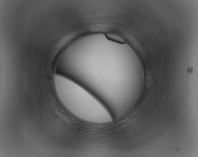X0000093520068200710121137