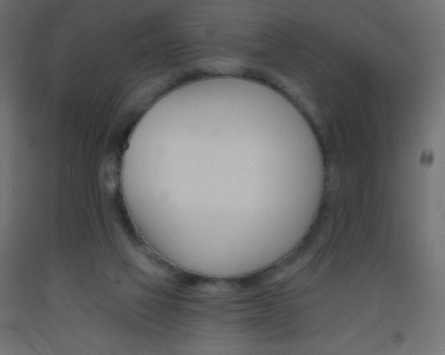 X0000093520069200710121137
